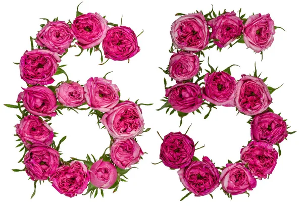 Numeral arábico 65, sessenta e cinco, de flores vermelhas de rosa, isolado — Fotografia de Stock