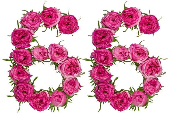 Arabská číslice 66, šedesát šest, od červené květy, růže, samostatný — Stock fotografie