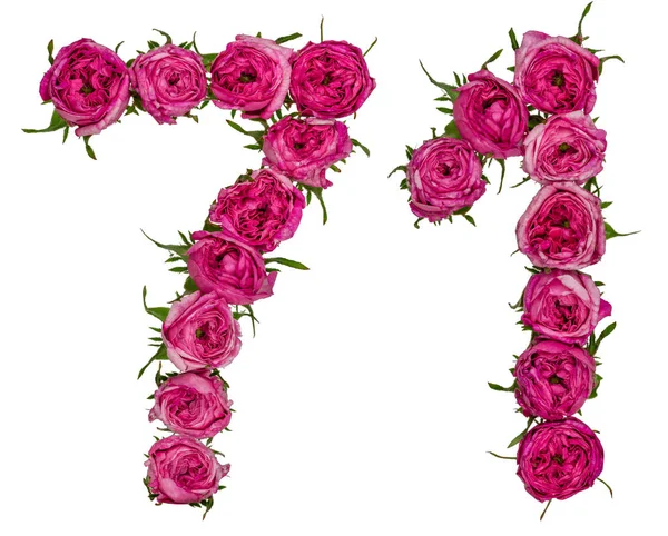 Арабські цифри 71 сімдесят один з червоні квіти з троянди, isolat — стокове фото