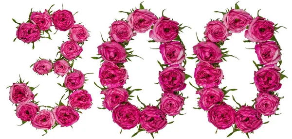 Арабская цифра 300, триста, из красных цветов розы, изо — стоковое фото