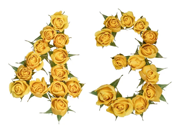 Arabiska siffror 43, fyrtio tre, från gula blommor av ros, iso — Stockfoto