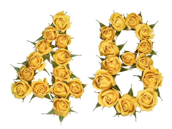 阿拉伯数字 48, 四十八, 从黄色的玫瑰花, iso — 图库照片