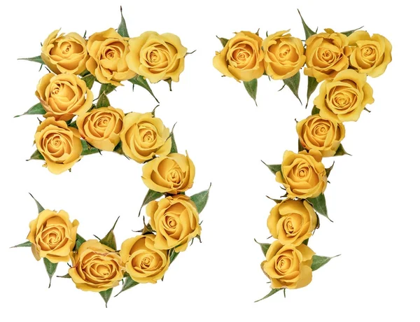 Αραβικό αριθμό 57, πενήντα επτά, από τα κίτρινα άνθη του τριαντάφυλλου, iso — Φωτογραφία Αρχείου