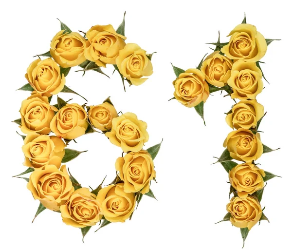 Números arábigos 61, sesenta y uno, de flores amarillas de rosa, isola —  Fotos de Stock