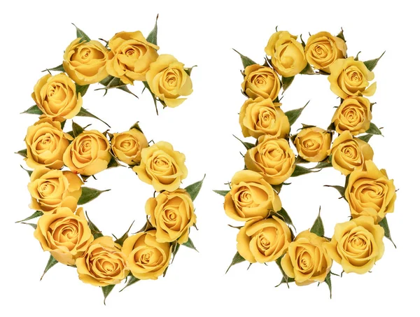 Arabiska siffror 68, sextio åtta, från gula blommor av ros, iso — Stockfoto