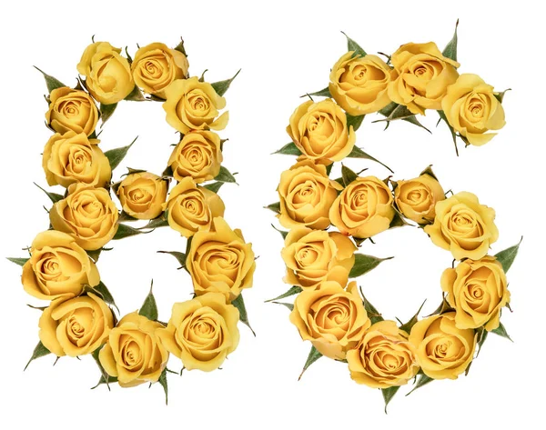 Arabic numeral 86, eighty six, from yellow flowers of rose, isol