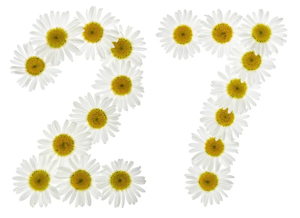Cifra arabă 27, 27, din flori albe de mușețel — Fotografie, imagine de stoc