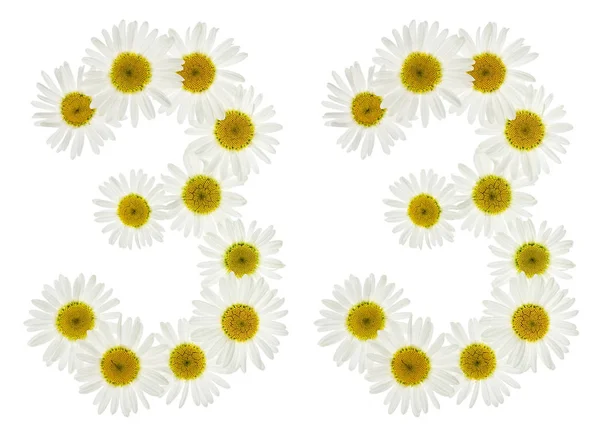 Arabic numeral 33, thirty three, from white flowers of chamomile — Stock Photo, Image