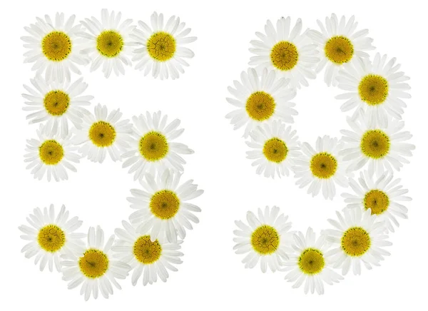 Арабская цифра 59, пятьдесят девять, из белых цветков ромашки , — стоковое фото