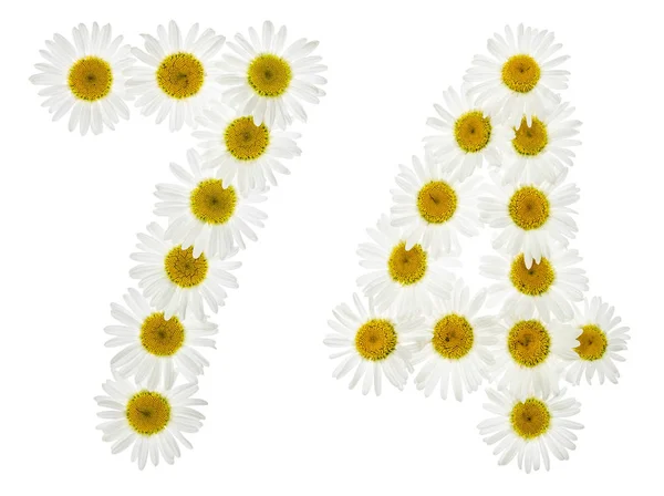 Arabic numeral 74, seventy four, from white flowers of chamomile — Stock Photo, Image