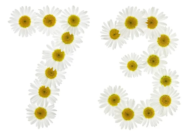 Numero arabo 73, settantatré, da fiori bianchi di camomilla — Foto Stock