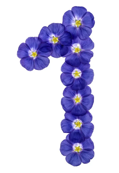 Cifra arabă 1, unu, din flori albastre de in, izolate pe wh — Fotografie, imagine de stoc