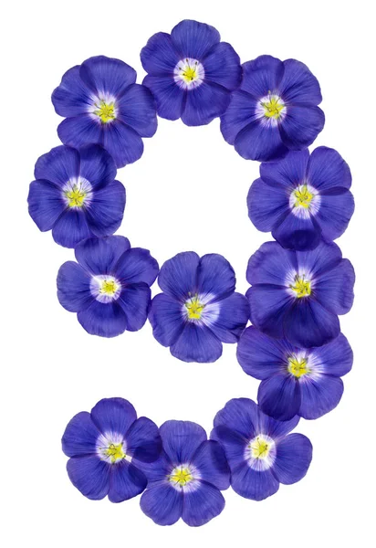 Arabská číslice 9, devět, z modré květy lnu, izolované na w — Stock fotografie