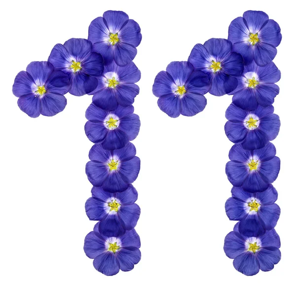 Arabiska siffror 11, elva, från blå blommor av lin, isolerat o — Stockfoto