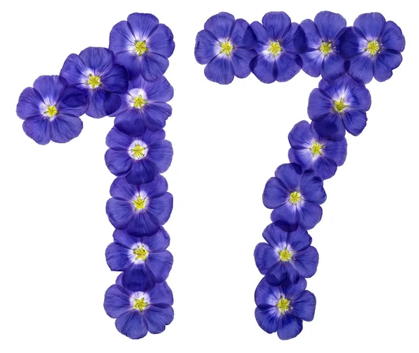 Número arábico 17, dezessete, de flores azuis de linho, isolado — Fotografia de Stock