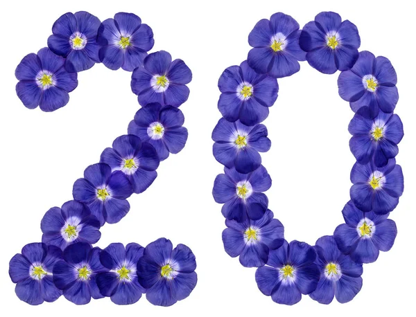 Arabská číslice 20, dvacet, dva, od modré květy lnu, isola — Stock fotografie