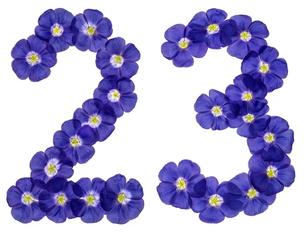 Арабская цифра 23, 23, из синих цветов льна, изол — стоковое фото