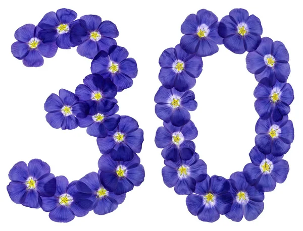 Арабські цифри 30, тридцяти років, від сині квіти льону, ізольовані o — стокове фото