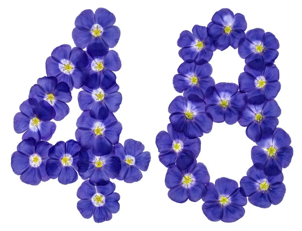 Arabic numeral 48, forty eight, from blue flowers of flax, isola — Stock Photo, Image