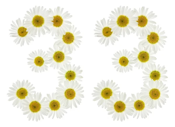 Arabic numeral 33, thirty three, from white flowers of chamomile — Stock Photo, Image