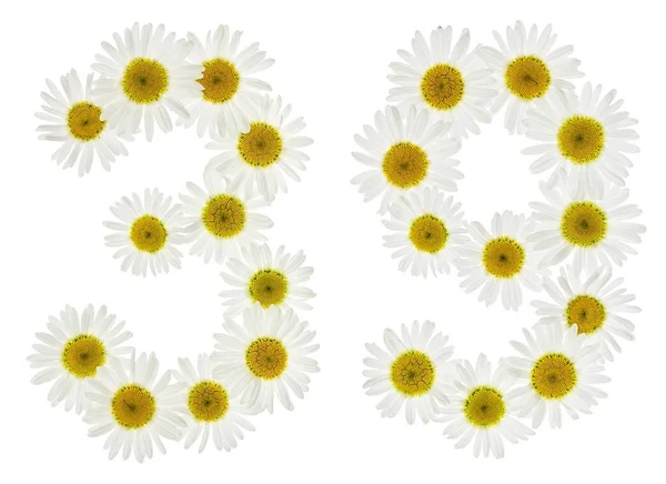 Arabic numeral 39, thirty nine, from white flowers of chamomile, — Stock Photo, Image