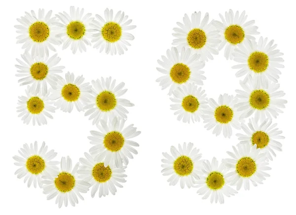 Arabic numeral 59, fifty nine, from white flowers of chamomile, — Stock Photo, Image