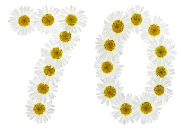 Arabic numeral 70, seventy, from white flowers of chamomile, iso — Stock Photo, Image