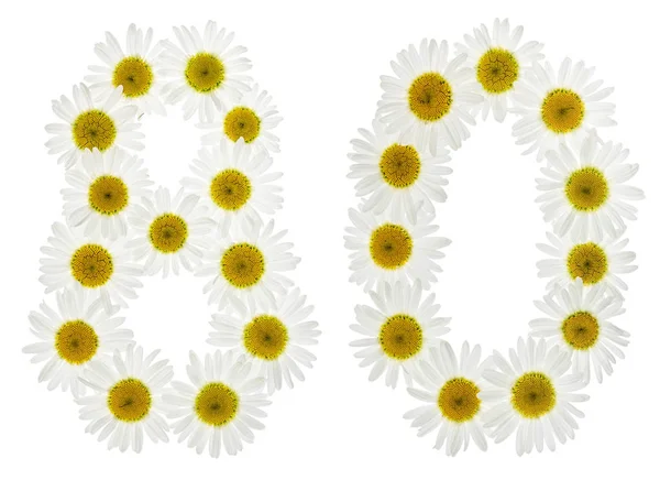 Arabic numeral 80, eighty, from white flowers of chamomile, isol — Stock Photo, Image