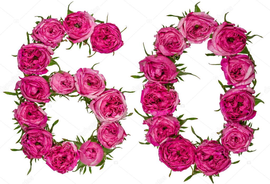 Arabic numeral 60, sixty, from red flowers of rose, isolated on 