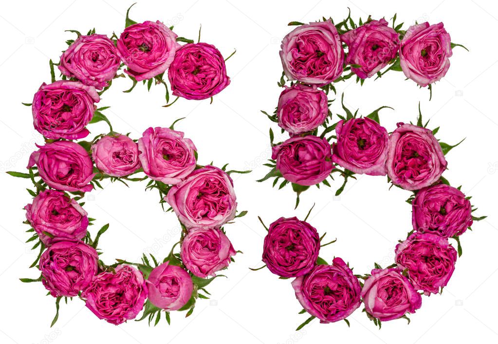 Arabic numeral 65, sixty five, from red flowers of rose, isolate