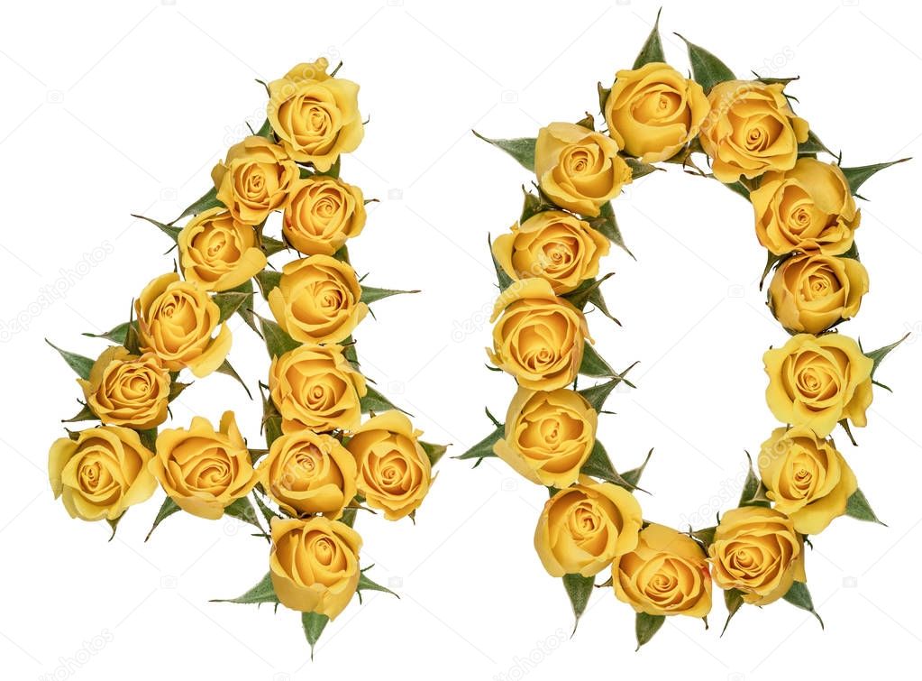 Arabic numeral 40, forty, from yellow flowers of rose, isolated 