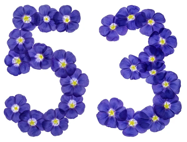 Arabische Ziffer 53, 53, aus blauen Flachsblüten, Isola — Stockfoto