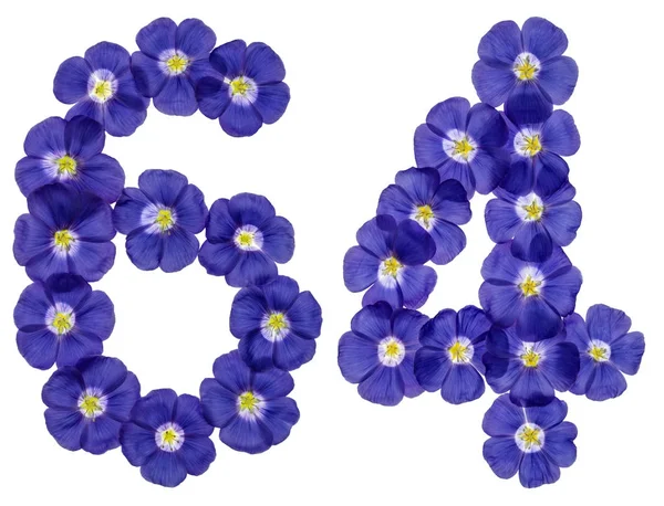 Arabská číslice 64, šedesát čtyři, z modré květy lnu, izolace membrána tvoří — Stock fotografie
