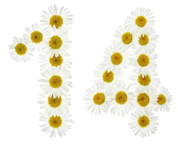 Arabská číslice 14, čtrnáct, z bílých květů heřmánku, je — Stock fotografie
