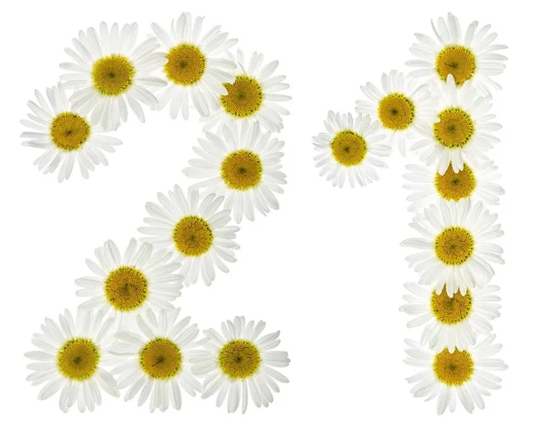 Cifra arabă 21, 21, din flori albe de mușețel , — Fotografie, imagine de stoc