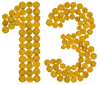 Arapça rakamı 13, 13, gelen solucan otu, Isola sarı çiçekler