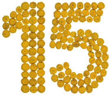 Arapça rakamı 15, on beş, gelen solucan otu, isolat, sarı çiçek