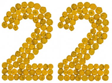 Arapça rakamı 22, yirmi iki, gelen solucan otu, ISO, sarı çiçek