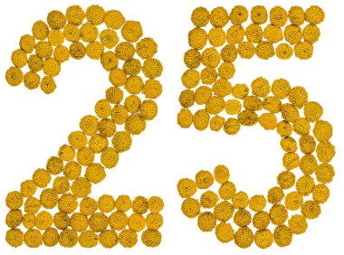 Arap rakamıdır 25, solucan otu, sarı çiçekler üzerinden yirmi beş