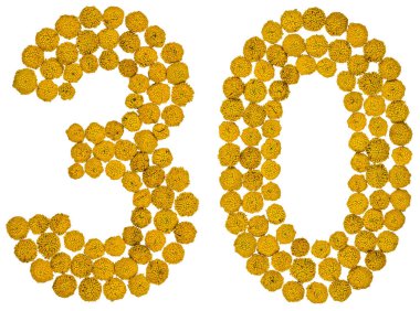 Arapça rakamı 30, otuz, solucan otu, sarı çiçekleri gelen izole