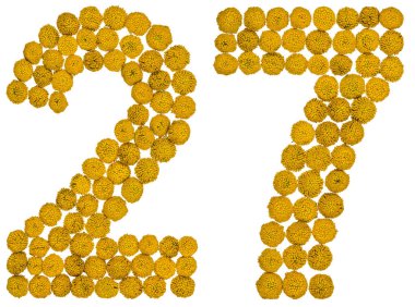 Arapça Sayı 27, yirmi yedi, solucan otu, sarı çiçekleri gelen ben