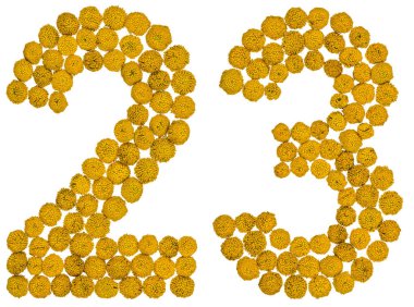 Arapça sayı 23, solucan otu, sarı çiçekler üzerinden yirmi üç ben