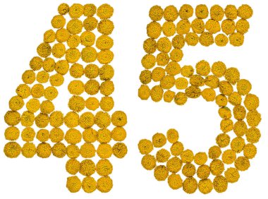 Arapça rakamı 45, kırk beş, gelen solucan otu, ISO, sarı çiçek