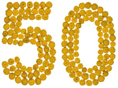 Arapça rakamı 50, elli, solucan otu, izole sarı çiçek