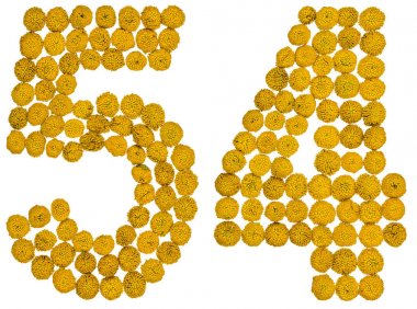 Arapça rakamı 54, elli dört, gelen solucan otu, ISO, sarı çiçek