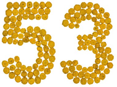 Arap rakamıdır 53, elli üç, solucan otu, sarı çiçek