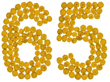 Arapça rakamı 65, altmış beş, gelen solucan otu, ISO, sarı çiçek