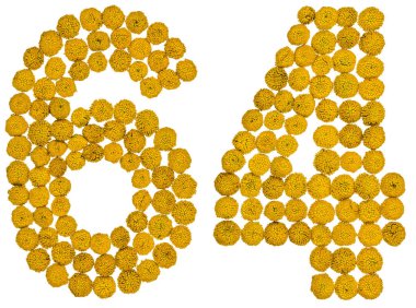 Arapça sayı 64, altmış dört, gelen solucan otu, ISO, sarı çiçek