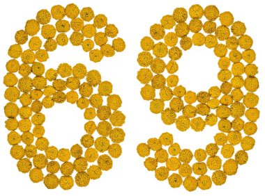 Arapça sayı 69, Altmış dokuz, gelen solucan otu, ISO, sarı çiçek