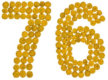 Arap rakamıdır 76, solucan otu, sarı çiçekler üzerinden yetmiş altı